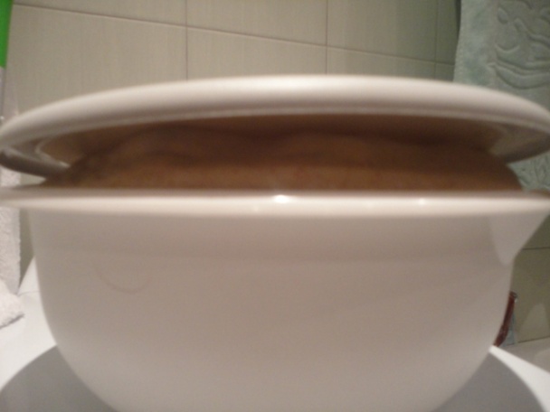 Ciabatta s ražným kváskom (fotorecept) - obrázok 1