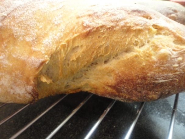 Ciabatta s ražným kváskom (fotorecept) - obrázok 8