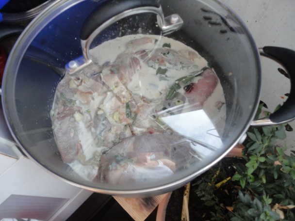 Domáci zajac v horčicovo-bylinkovej omáčke (fotorecept) - obrázok 4