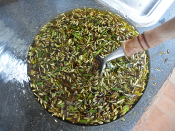 Rozmarínovo-levandulové kura s kuskusom (fotorecept) - obrázok 1