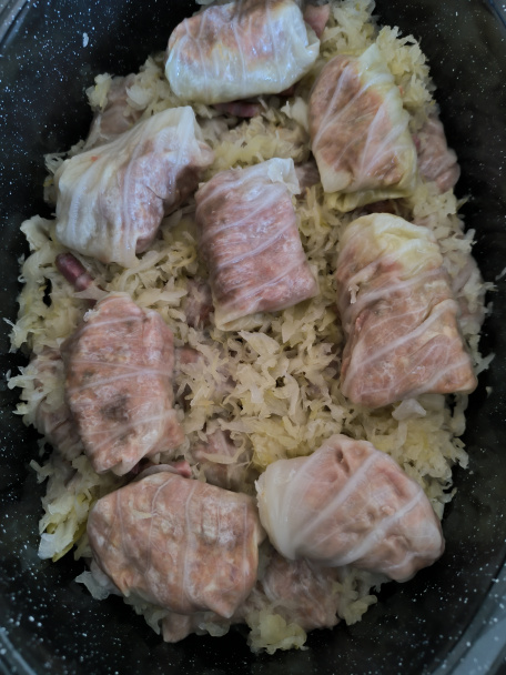 Sarma (fotorecept) - obrázok 4