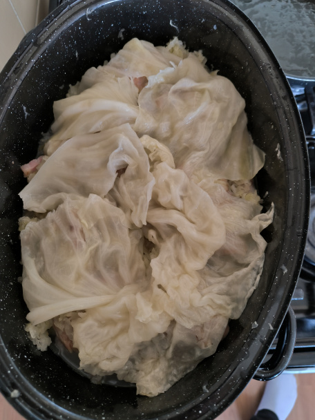 Sarma (fotorecept) - obrázok 5