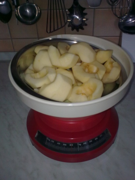 Jablková torta - nepečená (fotorecept) - obrázok 1