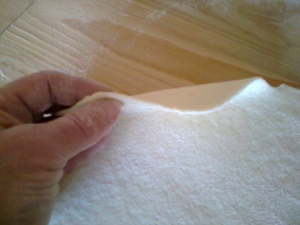 Domáce tvarohové rezance (fotorecept) - obrázok 4