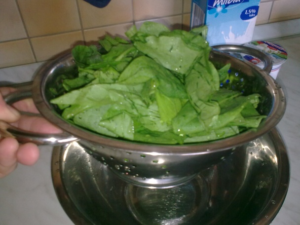 Štiava, šťavel, šóška (fotorecept) - obrázok 2