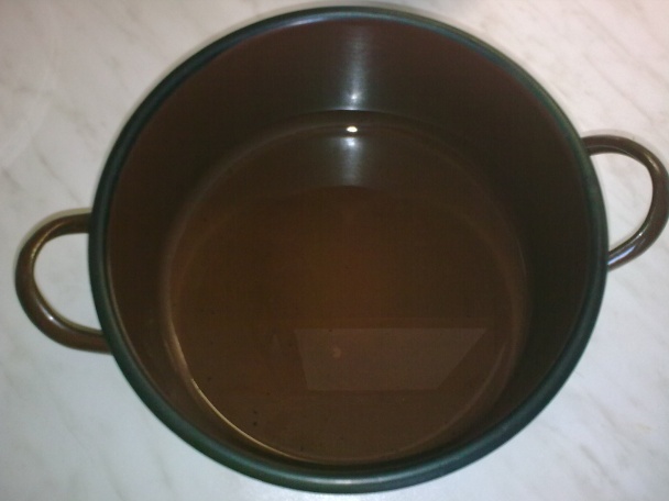 Štiava, šťavel, šóška (fotorecept) - obrázok 3