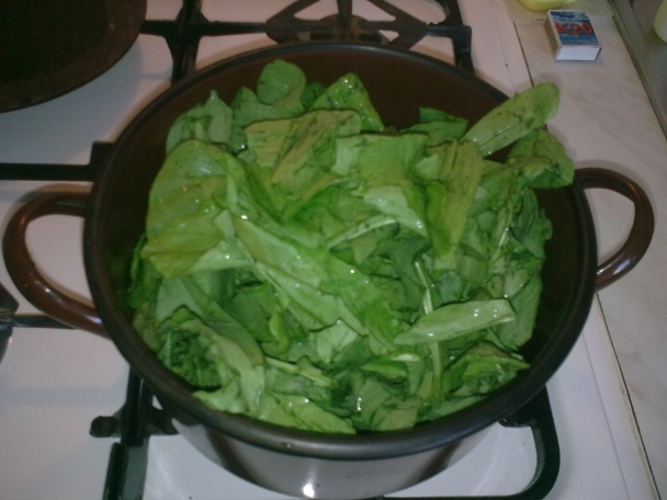 Štiava, šťavel, šóška (fotorecept) - obrázok 4