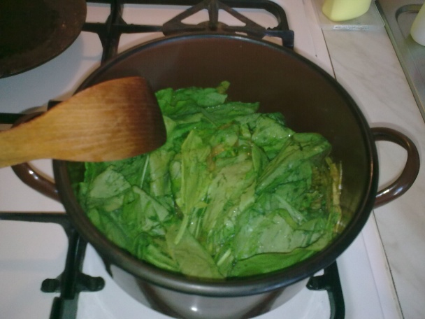 Štiava, šťavel, šóška (fotorecept) - obrázok 5