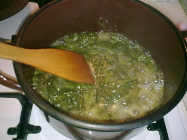 Štiava, šťavel, šóška (fotorecept) - obrázok 6