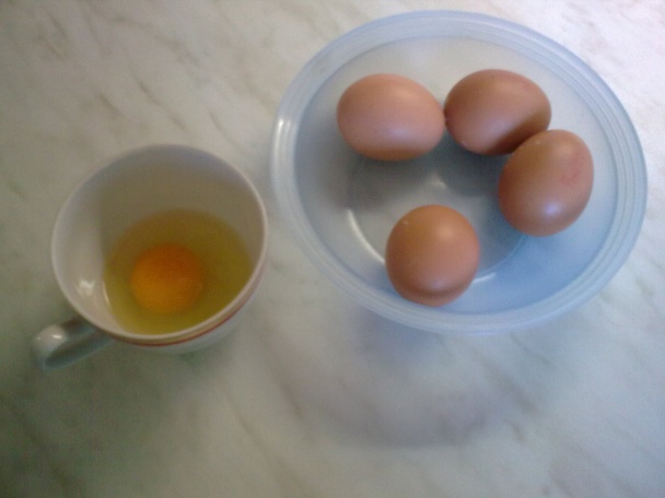 Štiava, šťavel, šóška (fotorecept) - obrázok 9