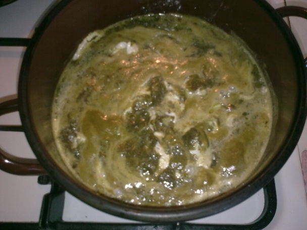 Štiava, šťavel, šóška (fotorecept) - obrázok 10