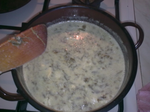 Štiava, šťavel, šóška (fotorecept) - obrázok 12