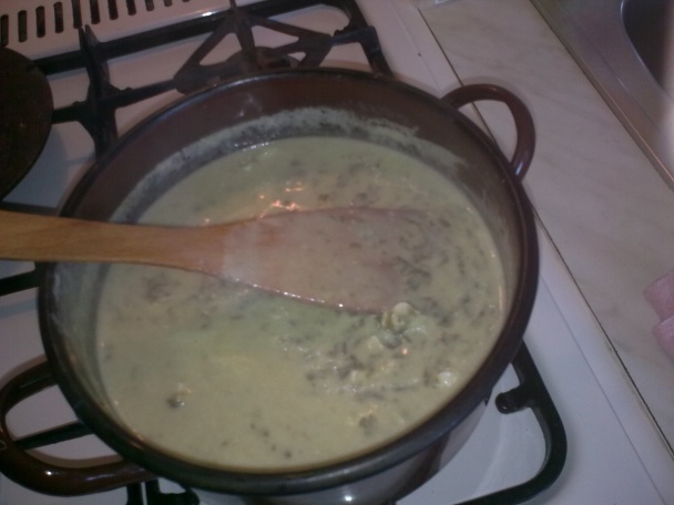 Štiava, šťavel, šóška (fotorecept) - obrázok 13