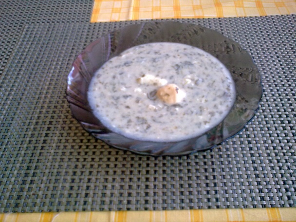 Štiava, šťavel, šóška (fotorecept) - obrázok 14