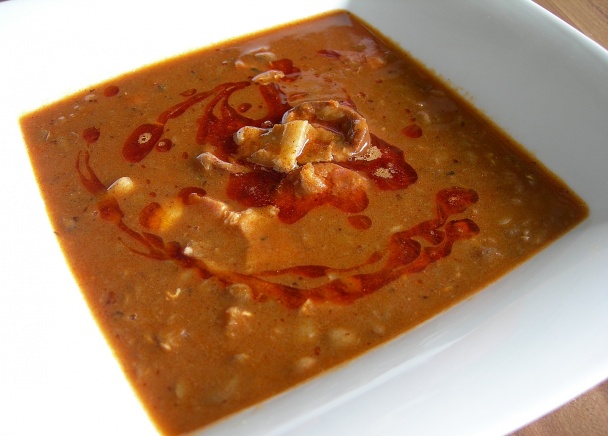 Šošovicovica - obrázok 2