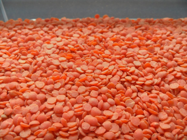 Bravčové mäso s červenou šošovicou - obrázok 1