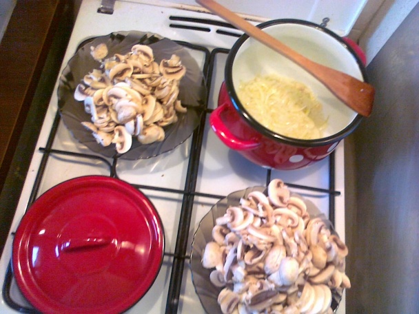 Šampiňónový paprikáš pre Maťku - obrázok 3