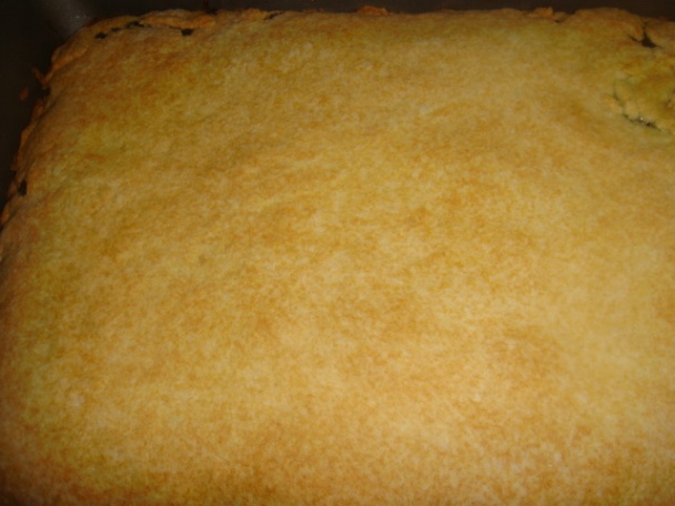 Kysnuté rezy (fotorecept) - obrázok 8