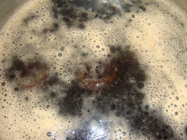 Pivové rezy (fotorecept) - obrázok 2