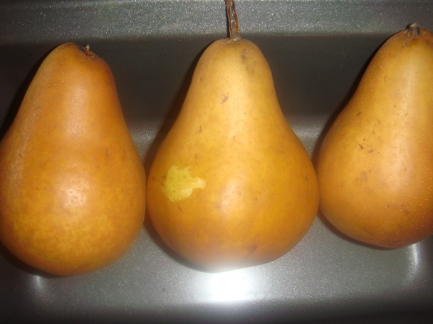 Hrušky v citrónovo-kokosovom chlebíku (fotorecept) - obrázok 1