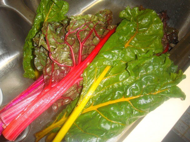 Tekvicové lasagne s mangoldom (fotorecept) - obrázok 1