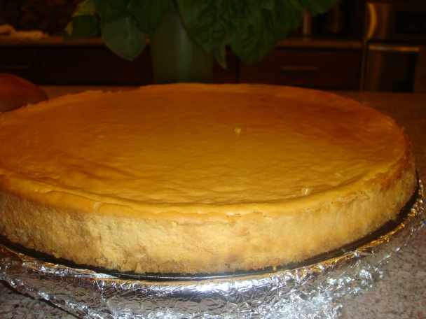 Cheesecake s mangom (fotorecept) - obrázok 8