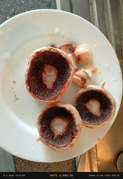 Kuracie stehná v šampiňónovo-smotanovej omáčke s kapiou (fotorecept) - obrázok 2