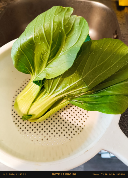 Pak choi s hlivou ustricovou (fotorecept) - obrázok 1
