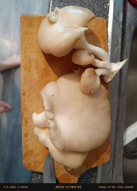 Pak choi s hlivou ustricovou (fotorecept) - obrázok 2