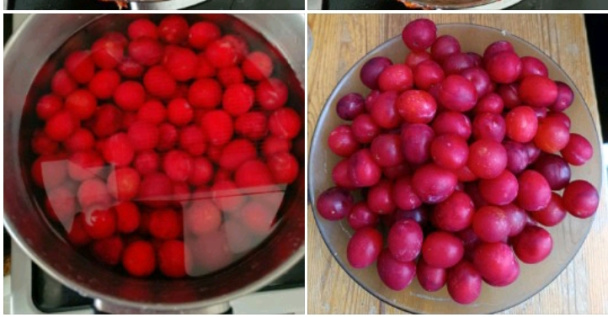 Lekvár z mirabeliek (fotorecept) - obrázok 1