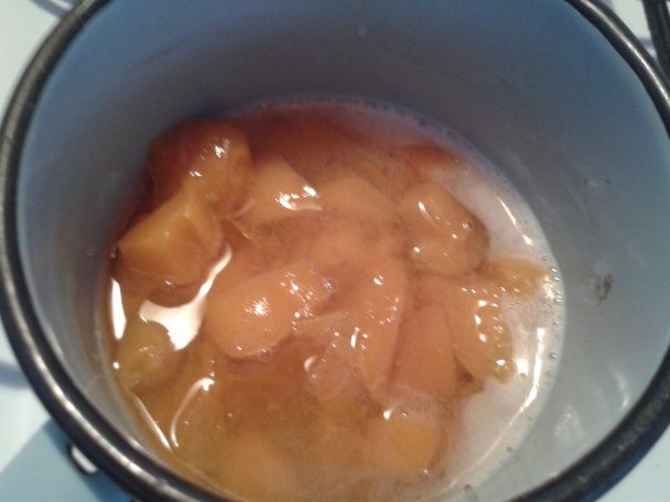 Ryžovo-jogurtový pohár s marhuľami - obrázok 3