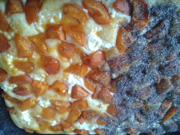 Hrnčekový ovocný koláč s tvarohom a makom - obrázok 2