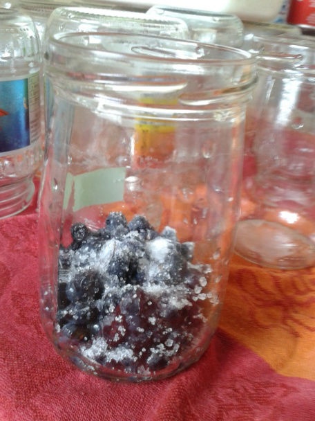 Čučoriedky vo vlastnej šťave zavárané v rúre (fotorecept) - obrázok 1