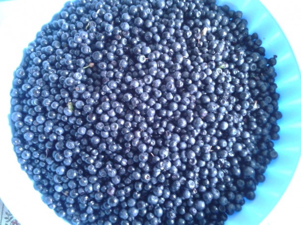 Čučoriedky vo vlastnej šťave zavárané v rúre (fotorecept) - obrázok 4