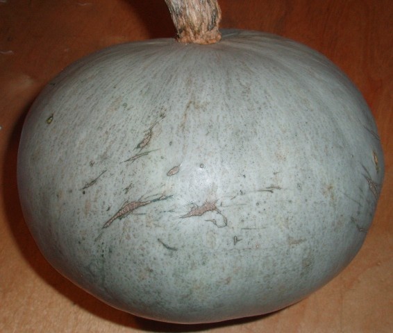 Tekvicové pyré (fotorecept) - obrázok 5