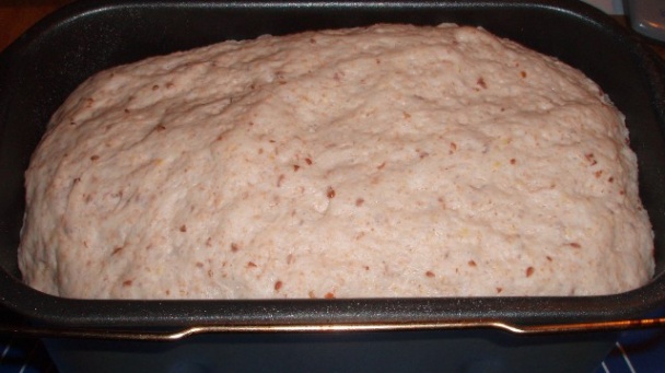 Bosniaky pod drobnohľadom (fotorecept) - obrázok 1