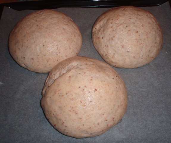 Bosniaky pod drobnohľadom (fotorecept) - obrázok 7