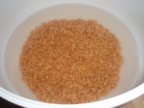 Špalda na víkendové raňajky - obrázok 1