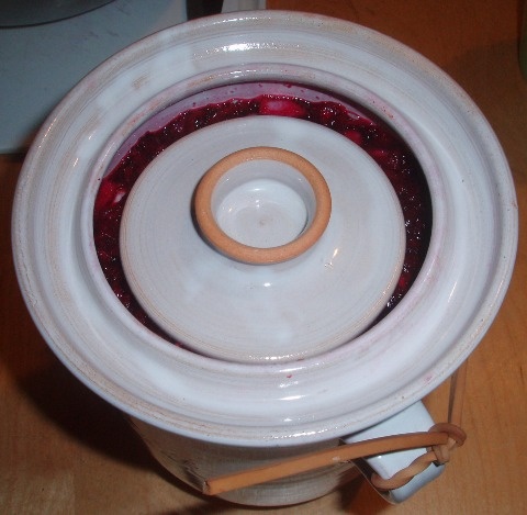 Kvasená zelenina - pickles (fotorecept) - obrázok 5