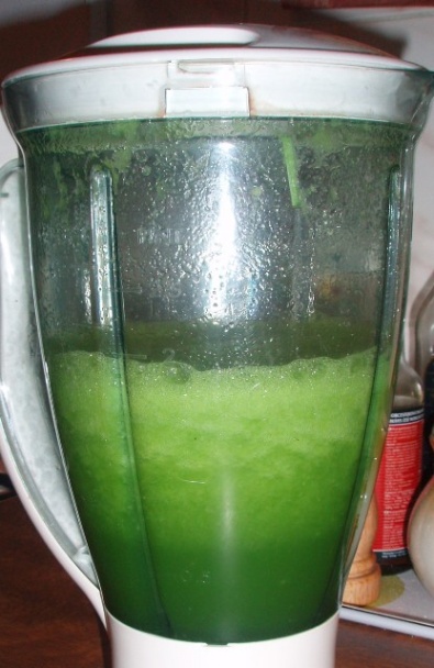 Zelená pšenica (fotorecept) - obrázok 8