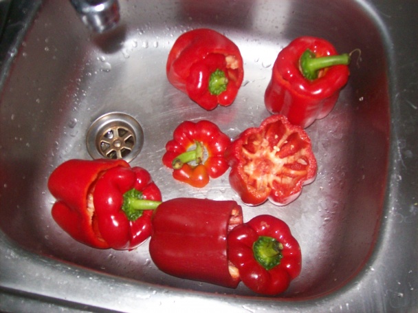 Plnená paprika s paradajkovou omáčkou (fotorecept) - obrázok 1