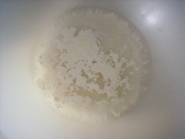 Môj prvý chlebík - obrázok 1