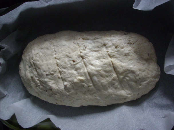 Môj prvý chlebík - obrázok 5