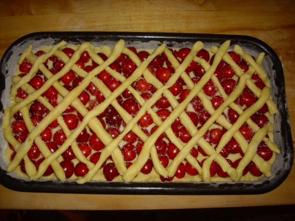 Krehký čerešňový mrežovník - obrázok 3