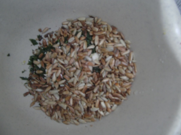 Tagliatelle s petržlenovým pestom - obrázok 3