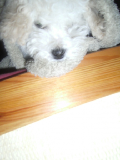 Cheesecake - obrázok 6