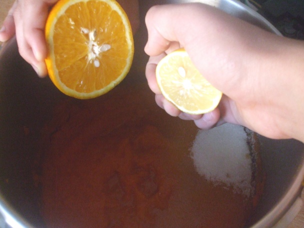 Mrkvová štava - obrázok 3