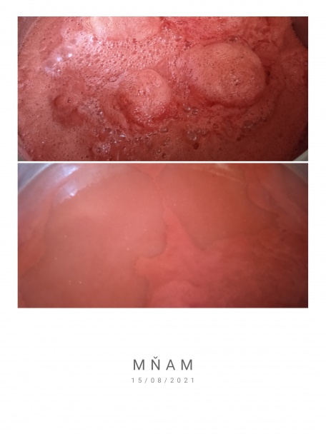 Paradajkový pretlak - domáca klasika (fotorecept) - obrázok 3