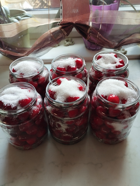 Čerešňový kompót (fotorecept) - obrázok 2