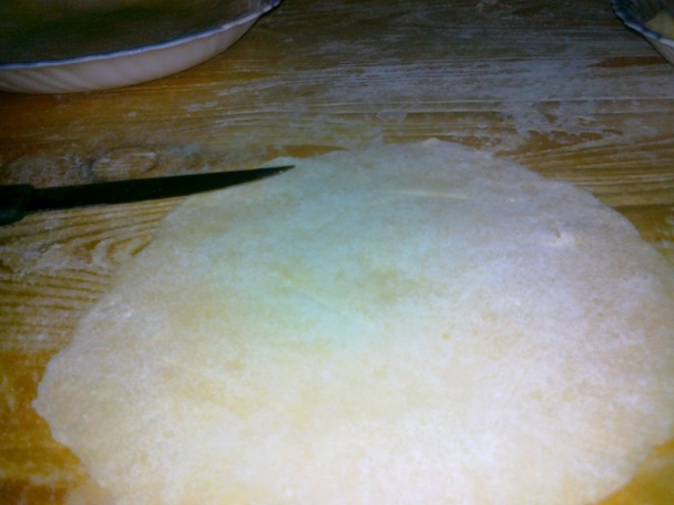 Gemerské ruže - obrázok 5